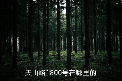 上海市天山1800號4號，天山路1800號的上海市職業(yè)培訓指導中心