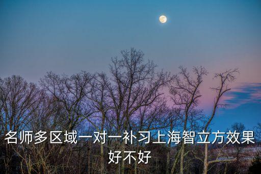 名師多區(qū)域一對(duì)一補(bǔ)習(xí)上海智立方效果好不好