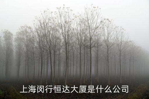 上海市閔行區(qū)航南路378號，上海閔行恒達大廈是什么公司