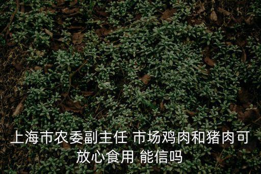 上海市農業委員會葉建平副主任，上海市農委副主任 市場雞肉和豬肉可放心食用 能信嗎