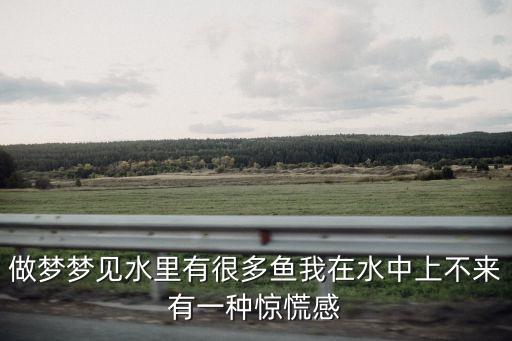 夢見水里有很多魚，做夢夢見許多魚在水里游是什么征兆