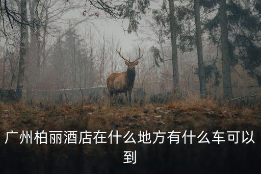 廣州柏麗國際酒店位置，廣州柏麗酒店在什么地方有什么車可以到