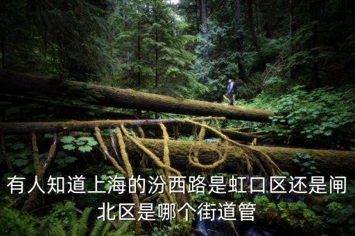 有人知道上海的汾西路是虹口區還是閘北區是哪個街道管