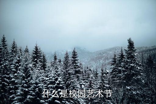 藝術(shù)節(jié)，藝術(shù)節(jié)是什么