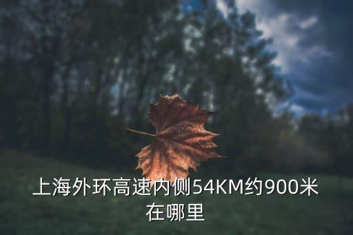 上海市外環高速內側58公里外，上海外環高速內側72公里約50米在哪里