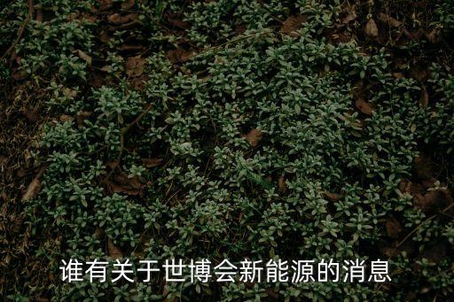 上海市新能源科技成果，科技發達的上海