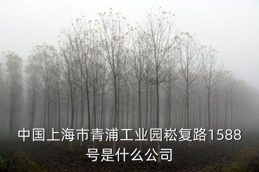 中國上海市青浦工業(yè)園崧復(fù)路1588號是什么公司