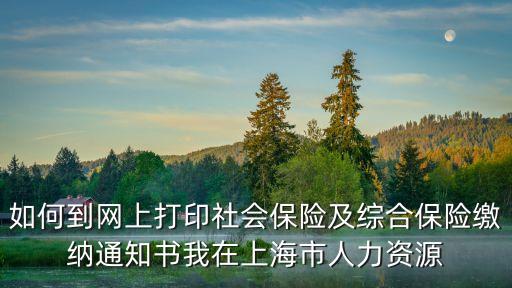 上海市社保證明可以在線打印，上海市社保繳費憑證在網(wǎng)上打印的鏈接是什么
