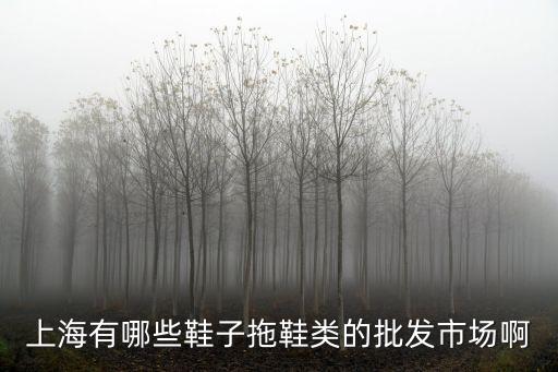 上海市有幾個鞋城，上海哪里有皮鞋城