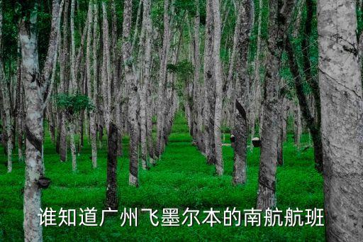 誰知道廣州飛墨爾本的南航航班