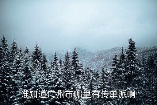 廣州派發傳單在哪里找，誰知道廣州市哪里有傳單派啊