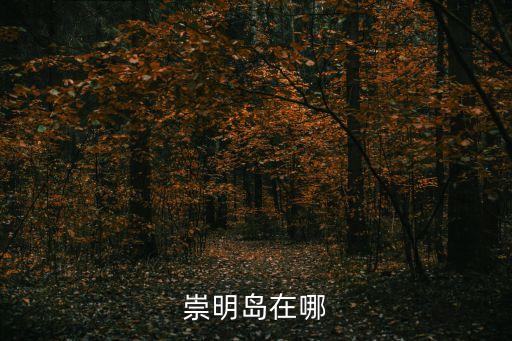 上海上海市崇明縣島，崇明島在哪