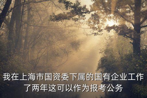 上海市國(guó)資委下屬聯(lián)社，我在上海市國(guó)資委下屬的國(guó)有企業(yè)工作了兩年這可以作為報(bào)考公務(wù)