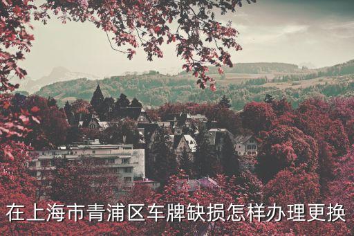 上海市區(qū)車牌哪兒換，求助上海換牌照去哪里啊