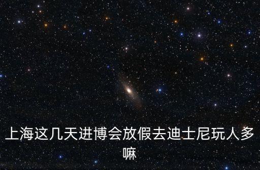 上海這幾天進博會放假去迪士尼玩人多嘛