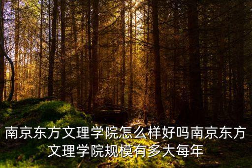南京東方文理學(xué)院怎么樣好嗎南京東方文理學(xué)院規(guī)模有多大每年
