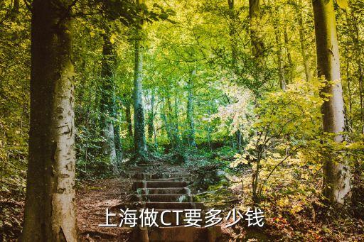 上海市做個鼻ct多少錢，鼻子CT多少錢
