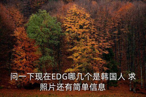 edg成員資料，問一下現在EDG哪幾個是韓國人 求照片還有簡單信息