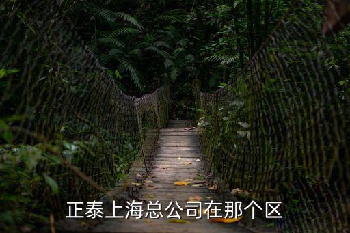 上海市正泰，正泰上海總公司在那個區