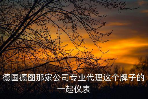 德國德圖那家公司專業(yè)代理這個牌子的一起儀表