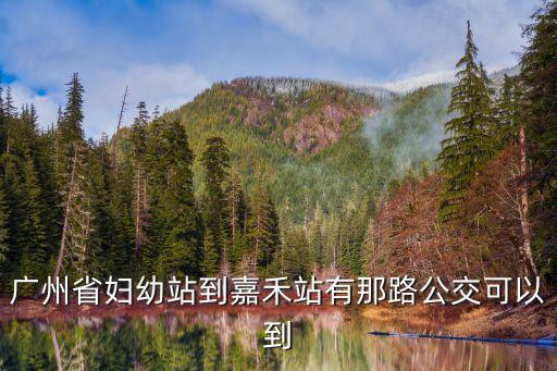 廣州省婦幼站到嘉禾站有那路公交可以到