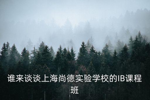 上海市小學(xué) ib課程，上海有哪些學(xué)校開設(shè)IB課程