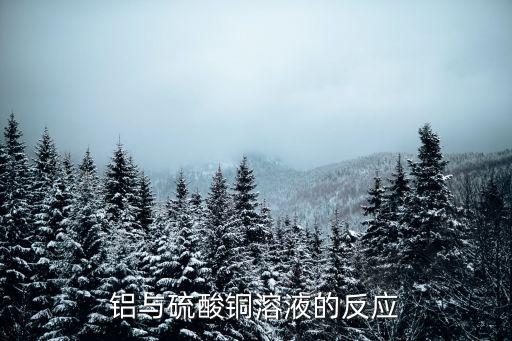 鋁與硫酸銅溶液的反應(yīng)