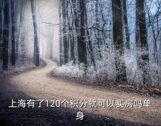 在上海市買房得多少積分，上海有了120個積分就可以買房嗎單身