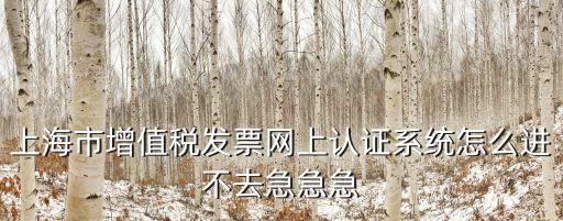 上海市增值稅發(fā)票網(wǎng)上認(rèn)證系統(tǒng)怎么進不去急急急