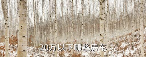小型房車，推薦一款實惠小房車