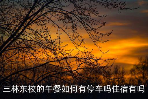 上海市三林中學(xué)午餐，上海高中的食堂午餐價(jià)格為多少啊