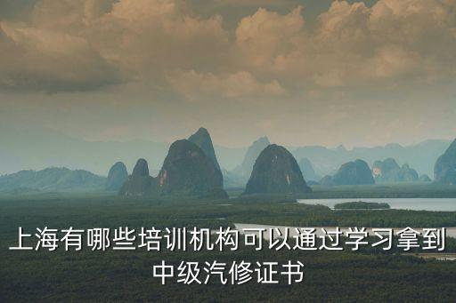 上海市職業資格證培訓學校，上崗證上海有好的學校嗎
