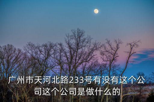 廣州市天河北路233號有沒有這個公司這個公司是做什么的