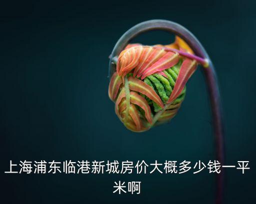 上海市奉賢區區臨港新城房價，臨港新城老蘆公路江山路樓盤現在新房房價是多少錢一個平方