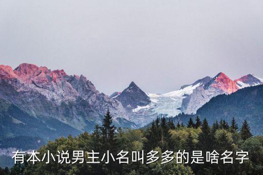 三世愛，送33朵花是什么意思