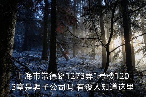 上海市宋華忠，上海市常德路1273弄1號樓1203室是騙子公司嗎 有沒人知道這里