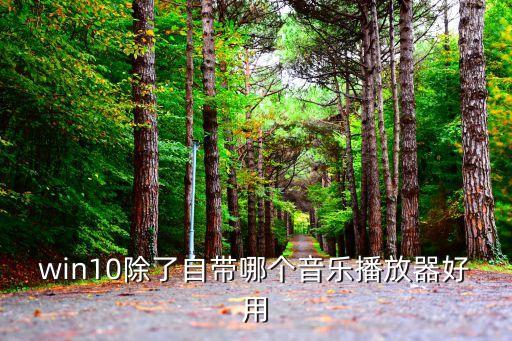 win10播放器，win10用什么播放器好求良心用戶體驗(yàn)好的播放器