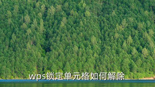 wps鎖定單元格如何解除