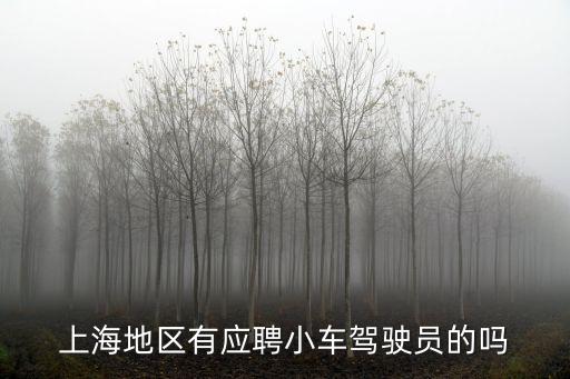 上海市華新鎮哪里有招c1駕駛員的，上海地區有應聘小車駕駛員的嗎
