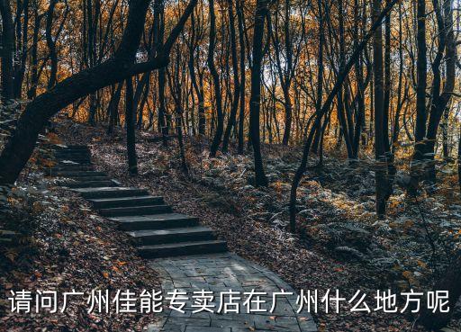 請問廣州佳能專賣店在廣州什么地方呢