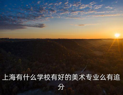 上海有什么學(xué)校有好的美術(shù)專業(yè)么有追分