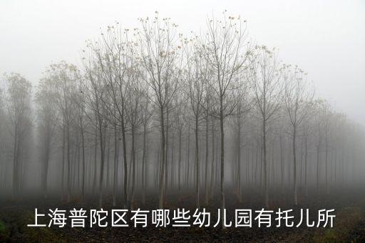 上海市普陀區桂巷幼兒園，普陀區有哪些好的幼稚園各位寶媽