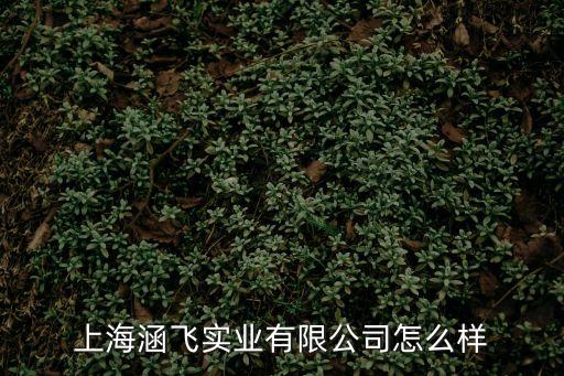 上海市涵飛物流有限公司，上海涵飛實業有限公司怎么樣