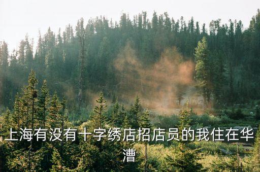 上海市十字繡招聘信息，上海普陀區哪里有招十字繡繡工