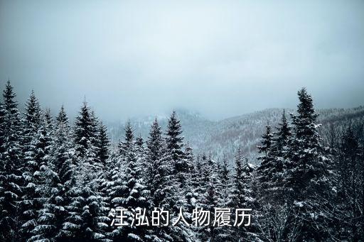 汪泓的人物履歷