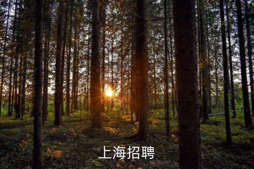 上海招聘