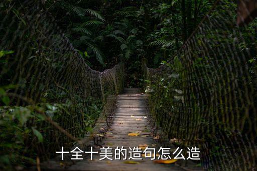 十全十美的造句怎么造