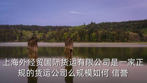 上海市外經(jīng)集團(tuán)有限公司，上海淮海中路200號(hào)25樓是什么公司
