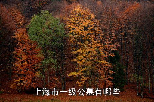 上海市公墓墓園，上海有哪些墓地