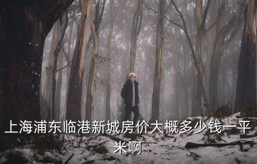上海浦東臨港新城房?jī)r(jià)大概多少錢一平米啊